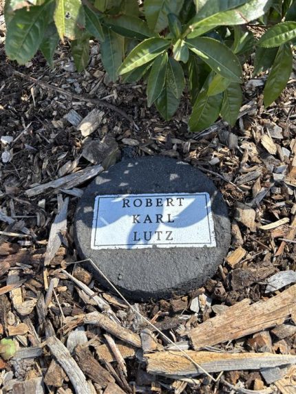 Order a Tree Planting